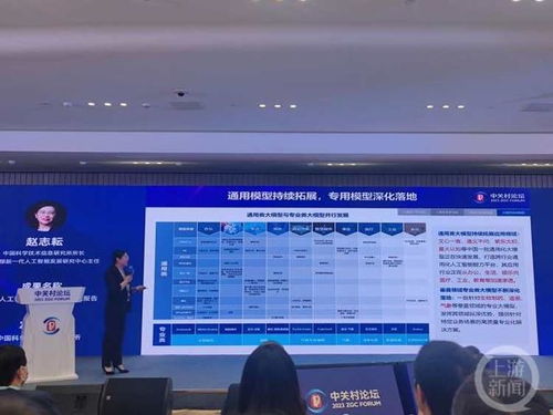 聚焦中关村论坛 中国AI大模型地图发布，基础软件与特定领域布局待加强